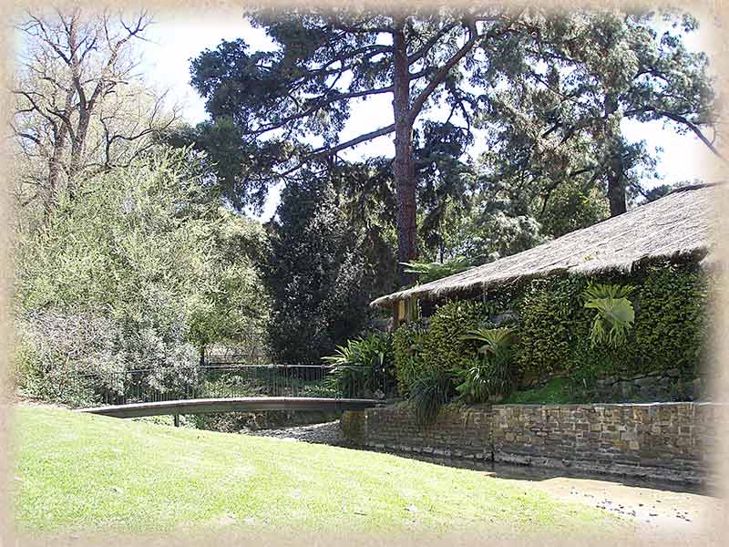 bridge and hut