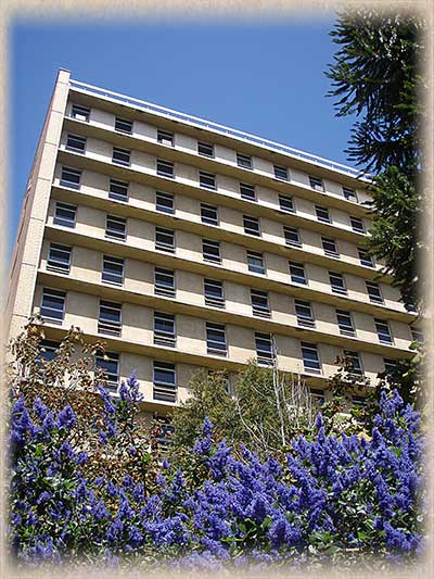 Building with Blue Flowers