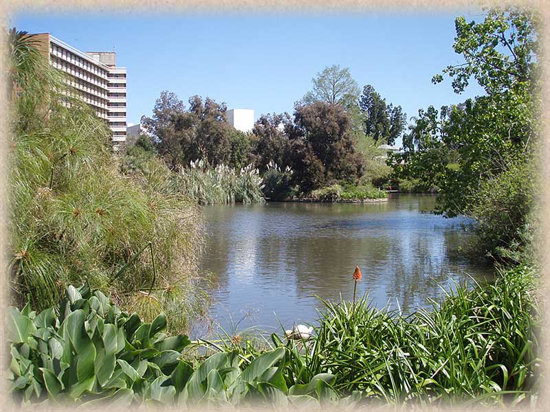 Lake with trees and buildings