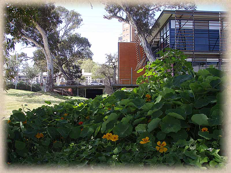 Wine centre and flowers