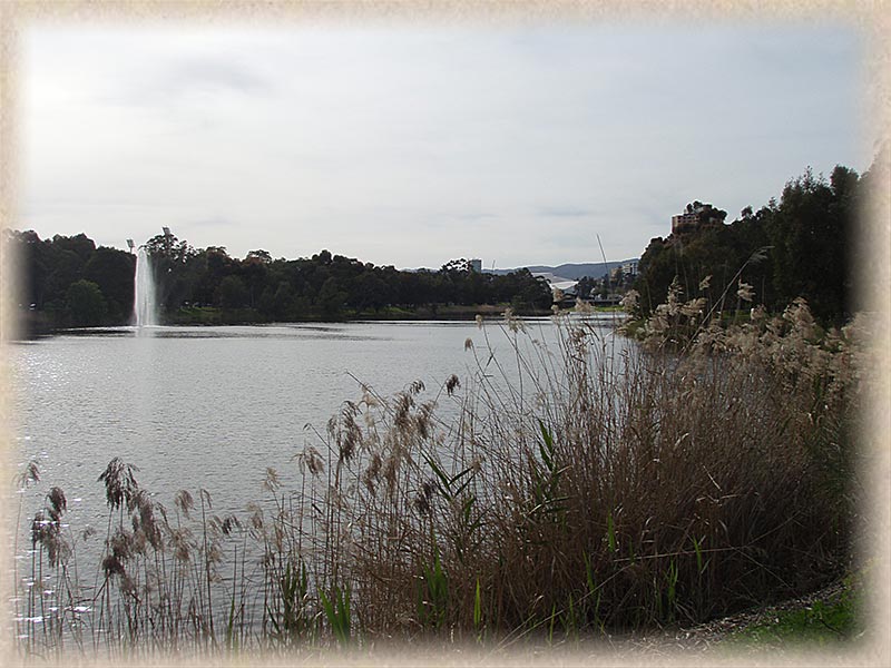 river torrens view