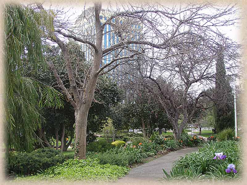 garden path with building in background