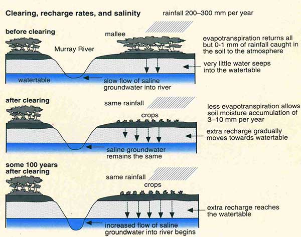 diagram outlining how groundwater becomes saline